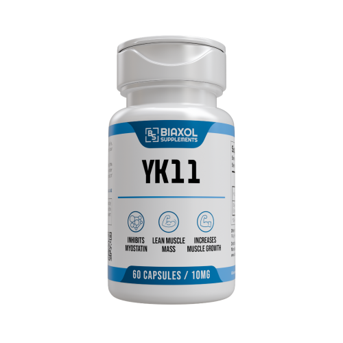 YK11